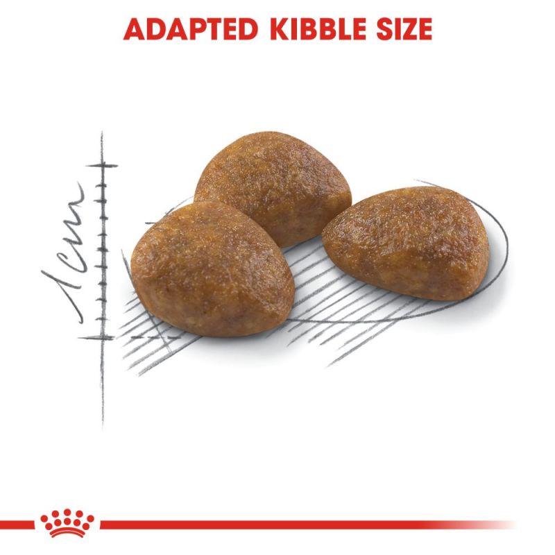 Royal Canin Active Life Outdoor 7+ Senior Cat Food - Targa Pet Shop