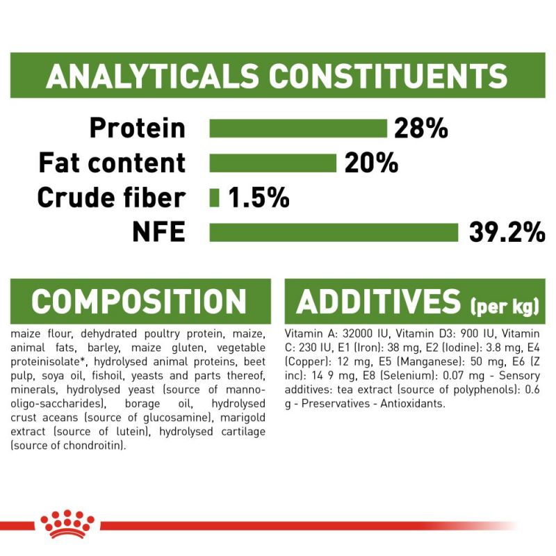 Royal Canin Active Life Outdoor 7+ Senior Cat Food - Targa Pet Shop