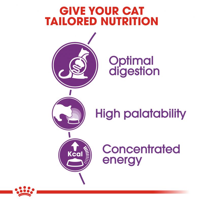 Royal Canin Regular Sensible 33 Adult Cat Food - Targa Pet Shop