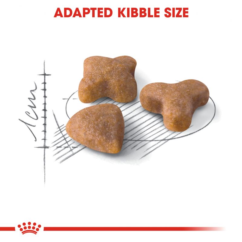 Royal Canin Regular Sensible 33 Adult Cat Food - Targa Pet Shop