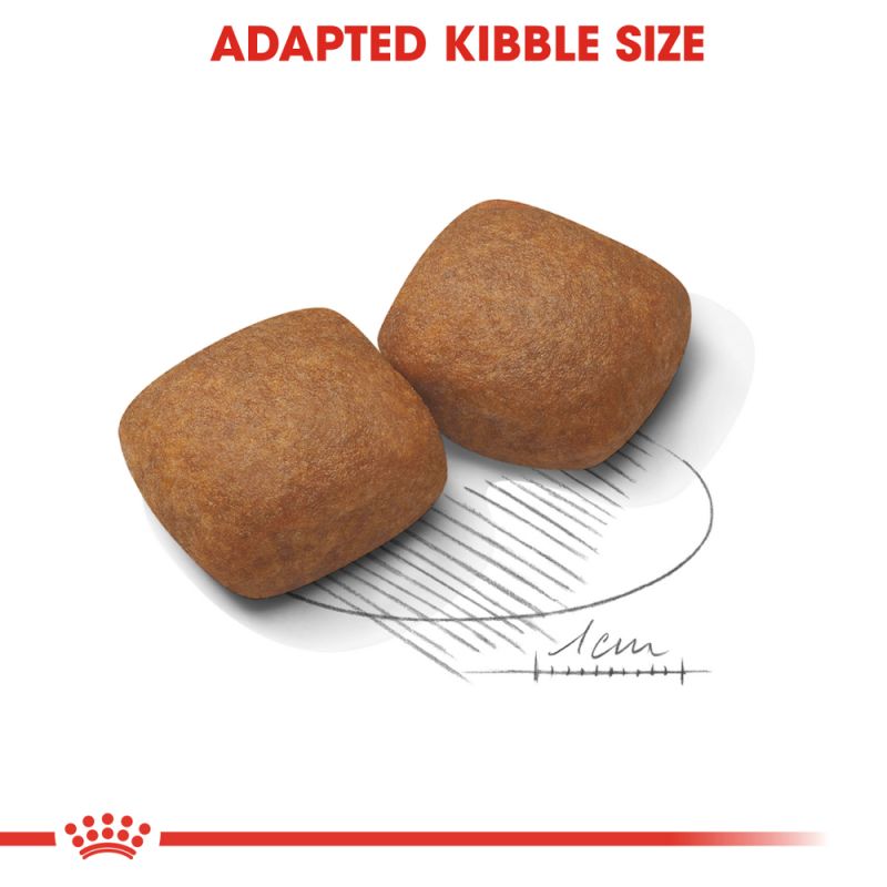 Royal Canin Giant Junior Dry Dog Food - Targa Pet Shop