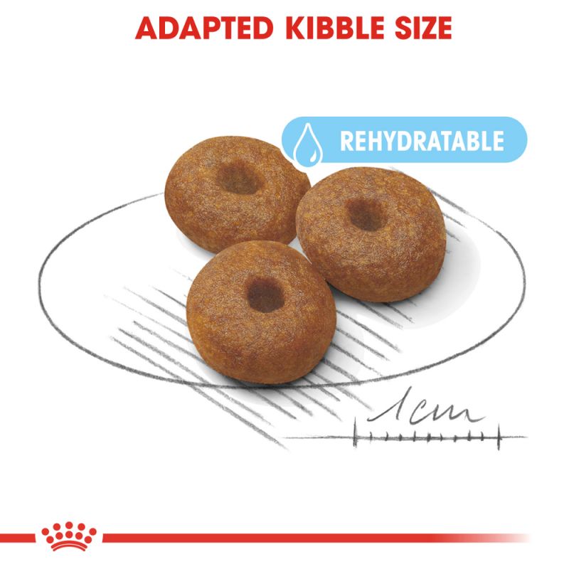 Royal Canin Maxi Starter Mother & Babydog Dry Food - Targa Pet Shop