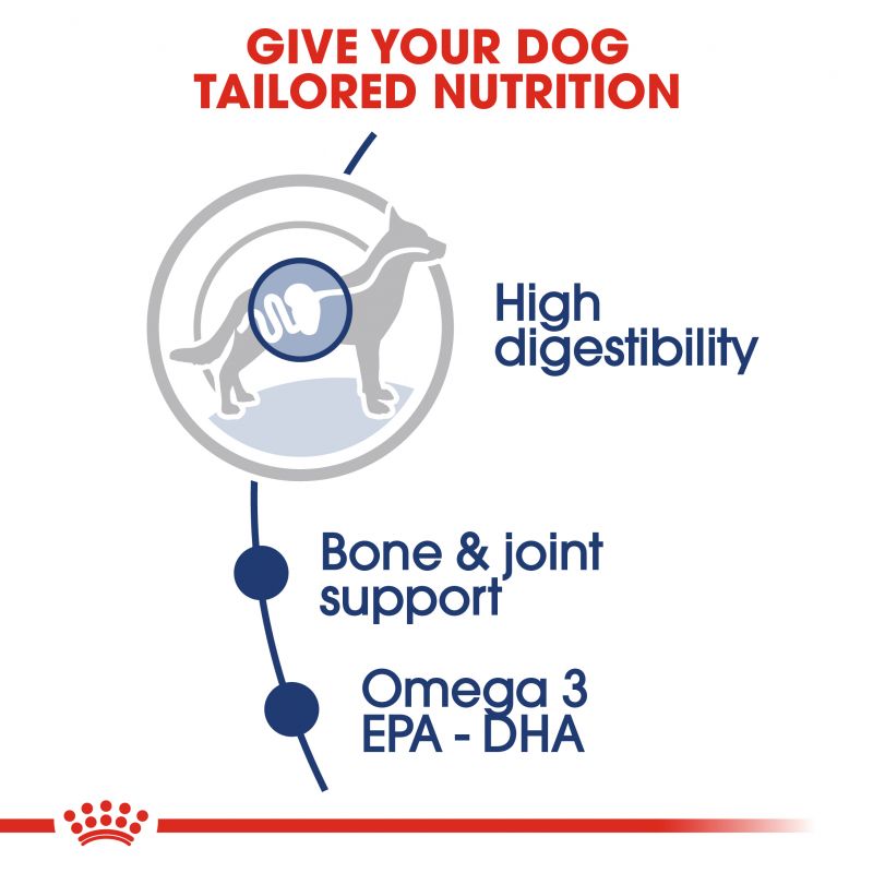 Royal Canin Maxi Adult Wet Dog Food In Gravy - Targa Pet Shop