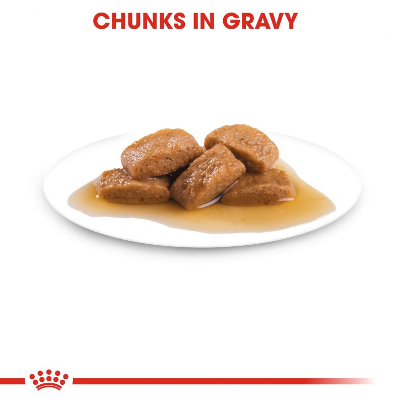 Royal Canin Maxi Adult Wet Dog Food In Gravy - Targa Pet Shop