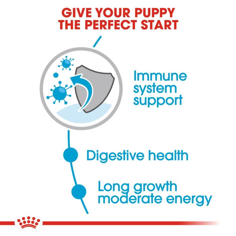 Royal Canin Maxi Puppy Wet Dog Food in Gravy - Targa Pet Shop