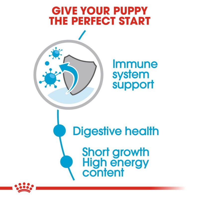 Royal Canin Medium Puppy Wet Dog Food in Gravy - Targa Pet Shop