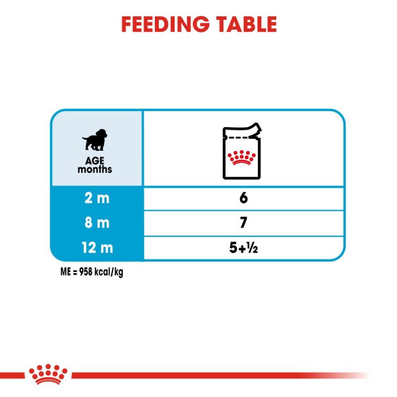Royal Canin Medium Puppy Wet Dog Food in Gravy - Targa Pet Shop