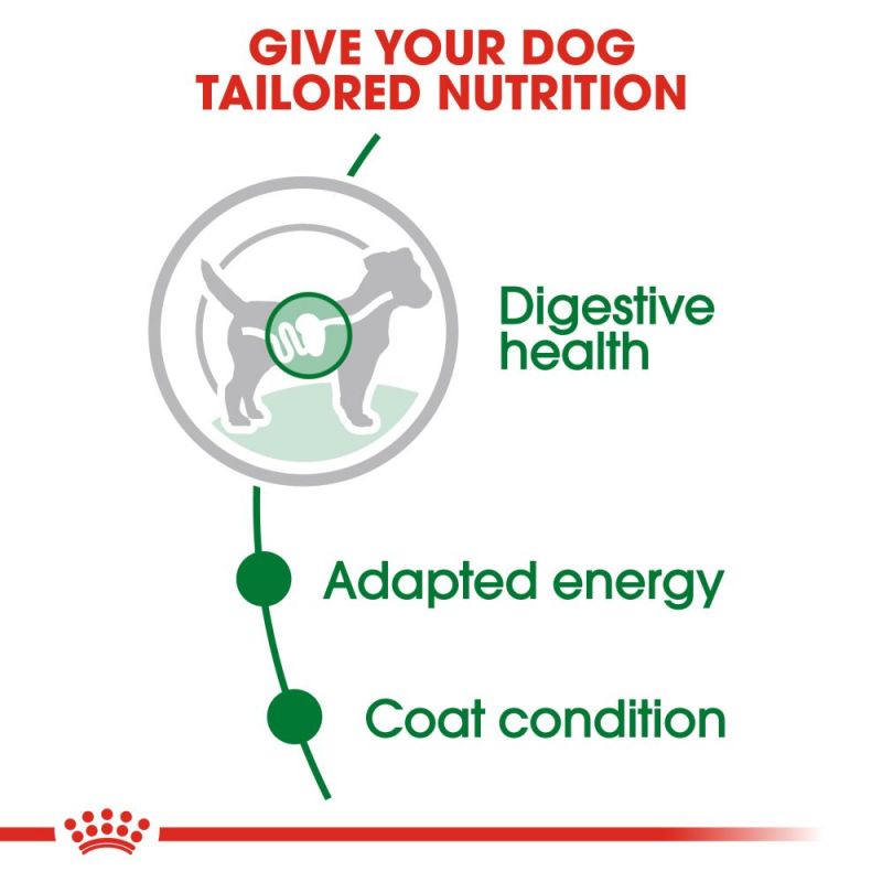 Royal Canin Mini Adult Wet Dog Food in Gravy - Targa Pet Shop