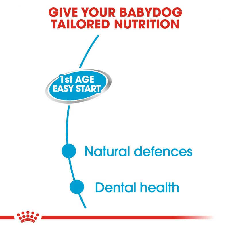 Royal Canin Starter Mousse Mother & Babydog - Targa Pet Shop