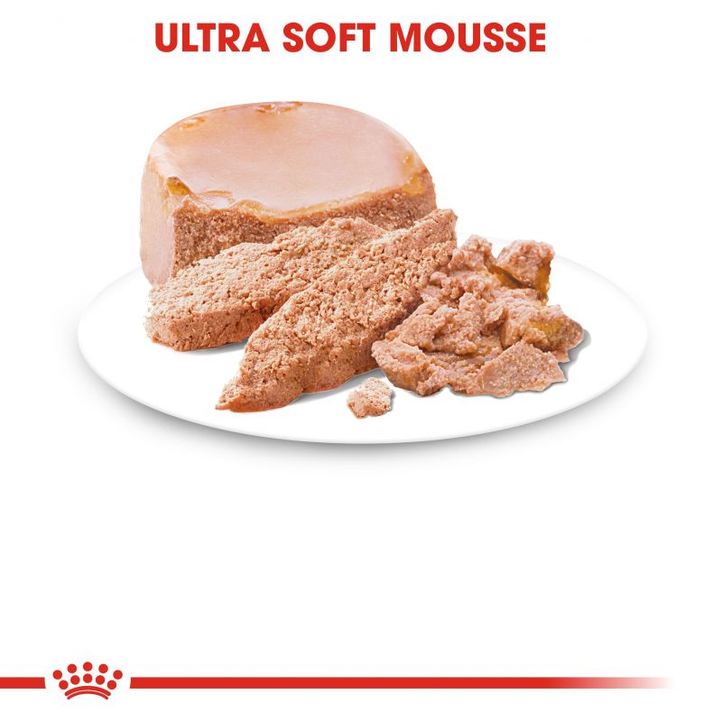 Royal Canin Starter Mousse Mother & Babydog - Targa Pet Shop
