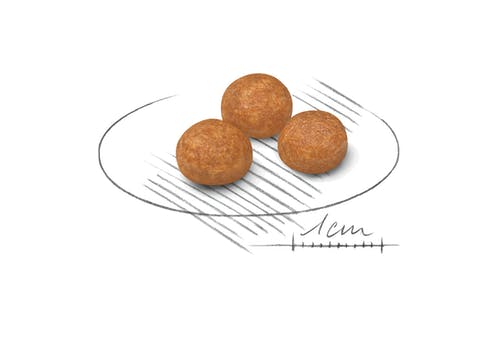Royal Canin X-Small Adult
