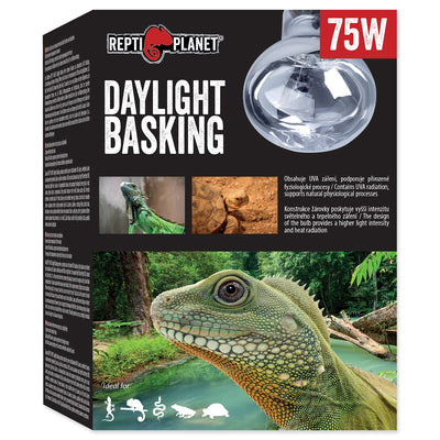 Repti Planet Daylight Basking Spot Bulb 75W