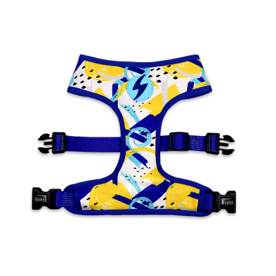 Dashi Nebula Neo Mesh Harness