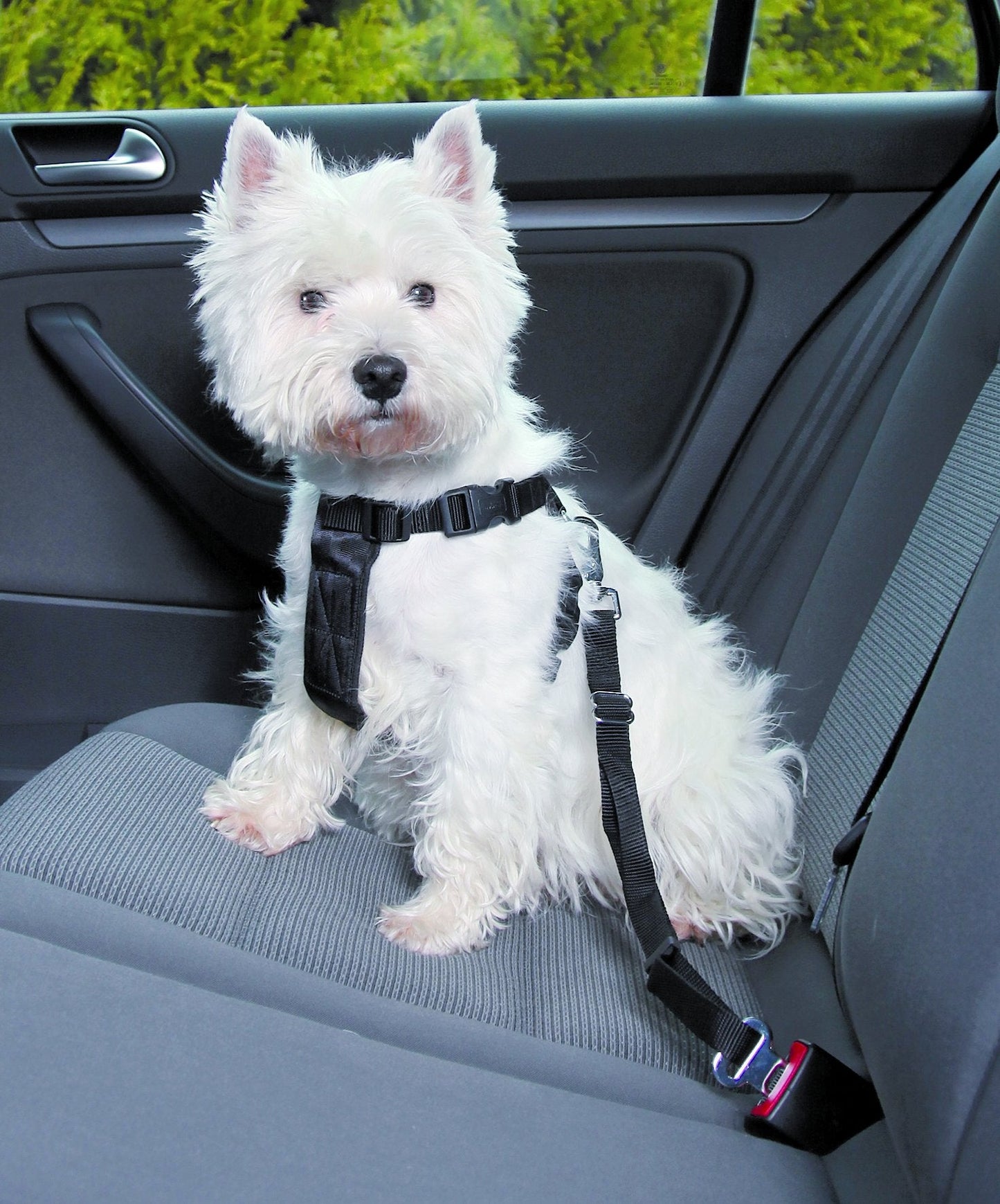 Trixie Car harness, S: 30-60 cm, black