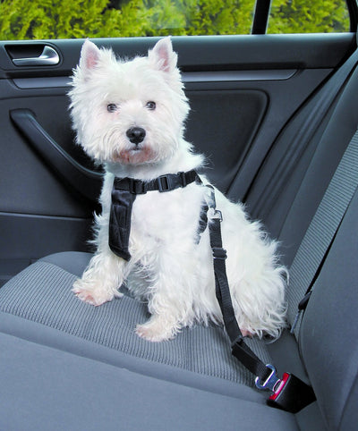 Trixie Car harness, S: 30-60 cm, black