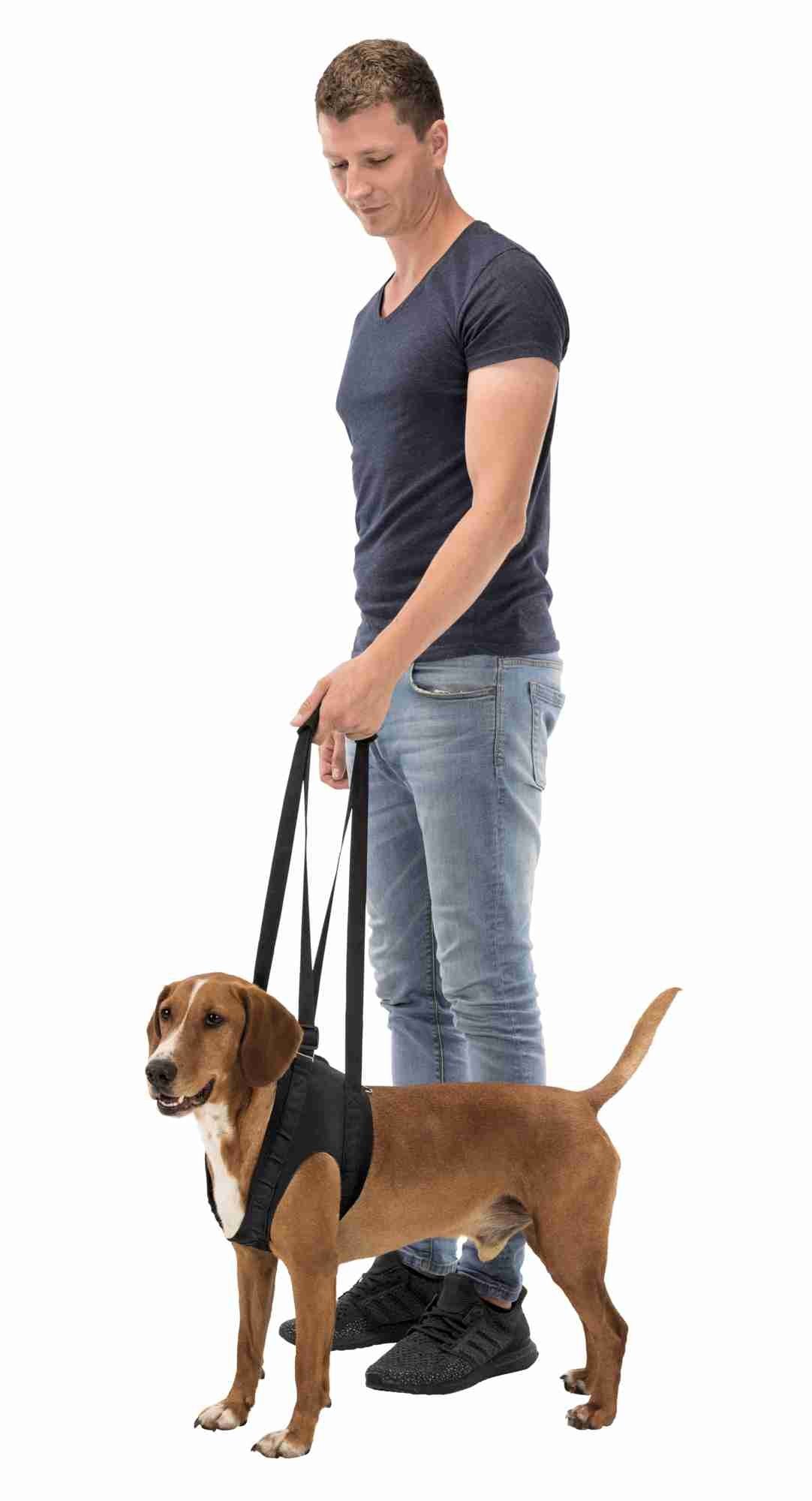 Trixie Walking aid, L: 65-75 cm, black