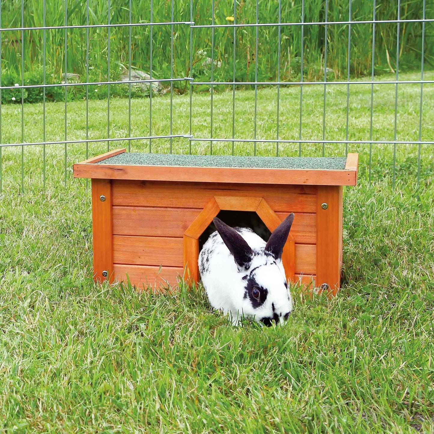 Trixie natura small animal hutch, 40 x 20 x 28 cm, brown