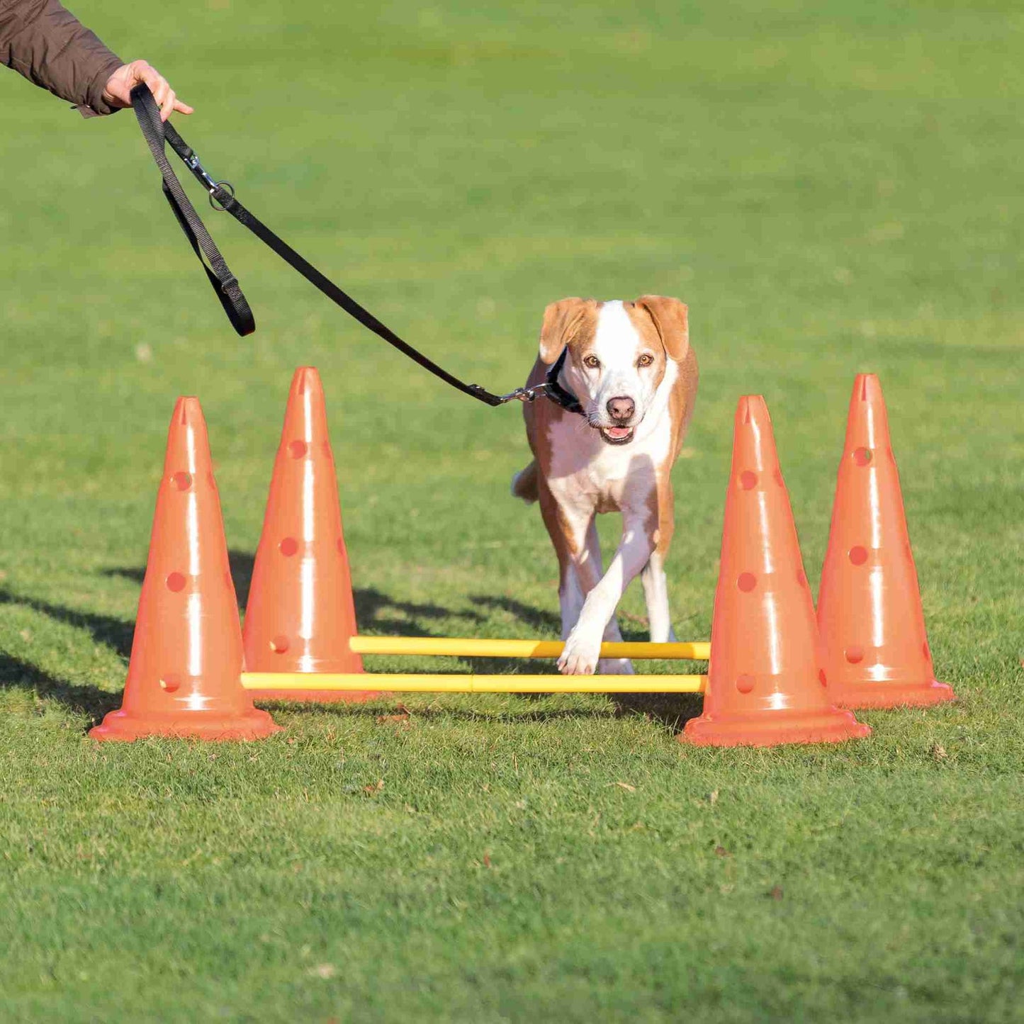 Trixie Dog Activity Obstacles, set 2 pcs., diam. 30 x 50 cm, 100 cm, orange & yellow