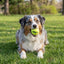 KONG SqueakAir Balls Medium (Pack of 3) - official image 2