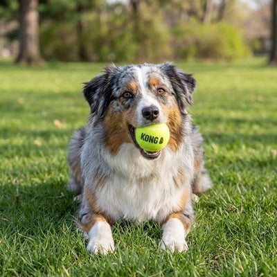 KONG SqueakAir Balls Medium (Pack of 3) - official image 2
