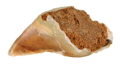 Trixie Chewing hoof, with meat filling, 115 g