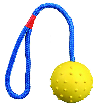 Trixie Ball on a rope, natural rubber, diam. 6 cm/30 cm