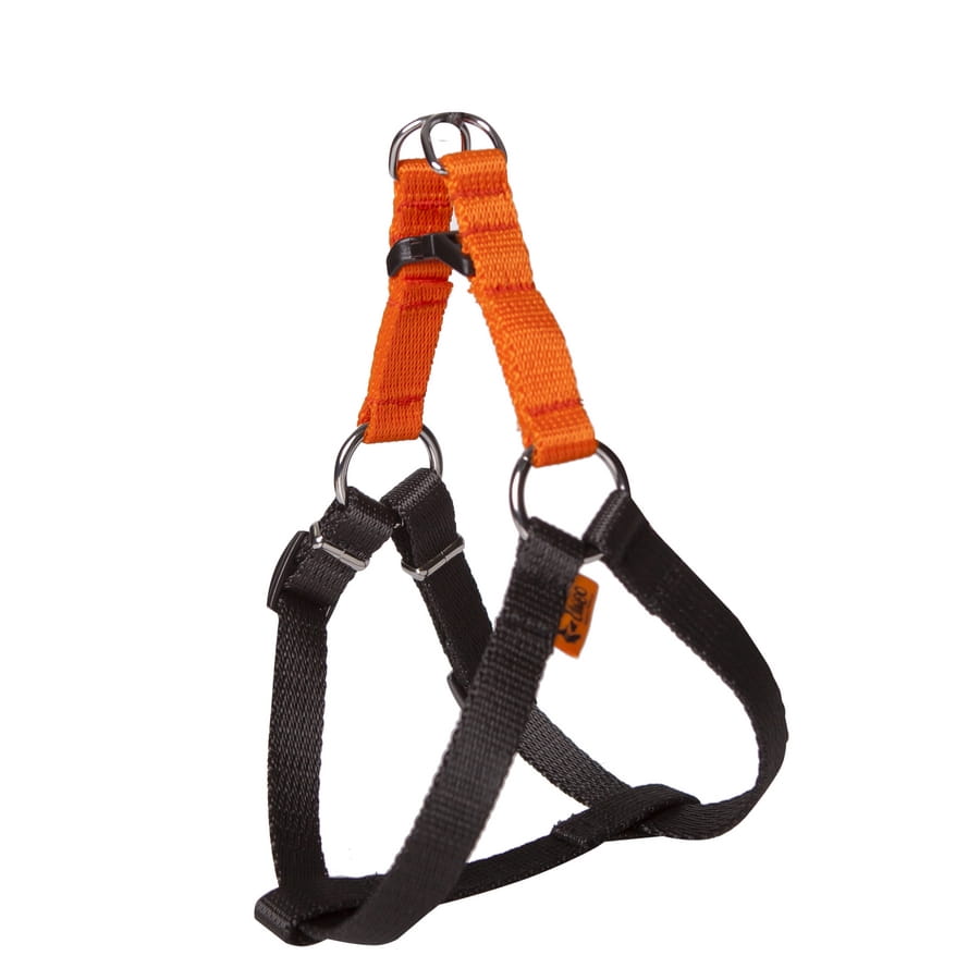 Dingo Energy Harness Orange