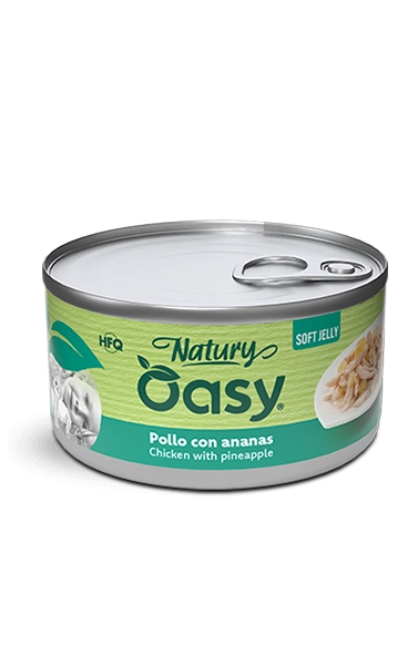 Oasy Natury Soft Jelly Chicken with Pineapple Wet Cat Food 150g - Natury tin