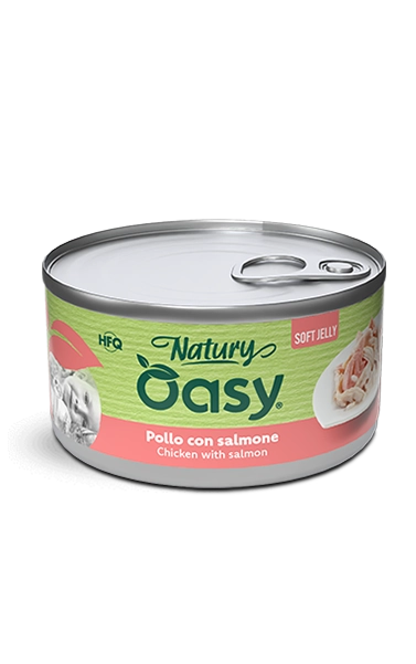 Oasy Natury Soft Jelly Chicken with Salmon Wet Cat Food 150g - Natury tin