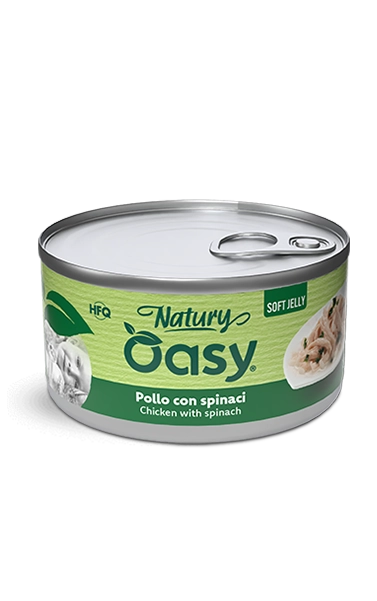 Oasy Natury Soft Jelly Chicken with Spinach Wet Cat Food 150g - Natury tin