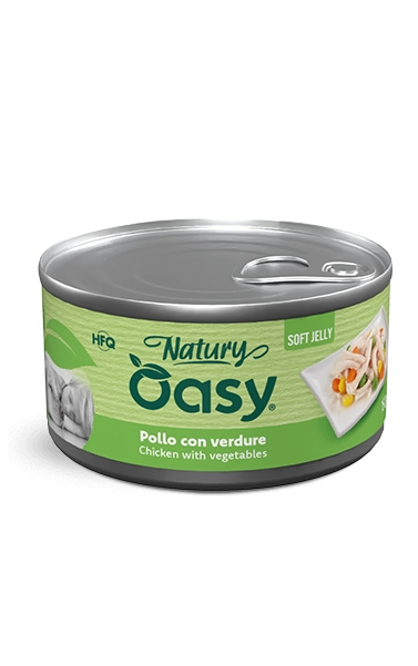 Oasy Natury Soft Jelly Chicken with Vegetables Wet Dog Food 150g - 150g tin