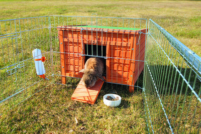 Trixie natura small animal hutch, 60 x 47 x 50 cm, brown