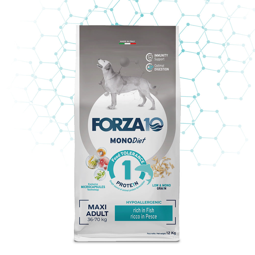 Forza 10 Maxi Adult - Fish
