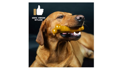 TastyBone Peanut Butter For Small Dogs - image 2