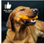 TastyBone Roast Chicken & Thyme For Small Dogs - image 2