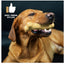 TastyBone Cheese For Small Dogs - image 2