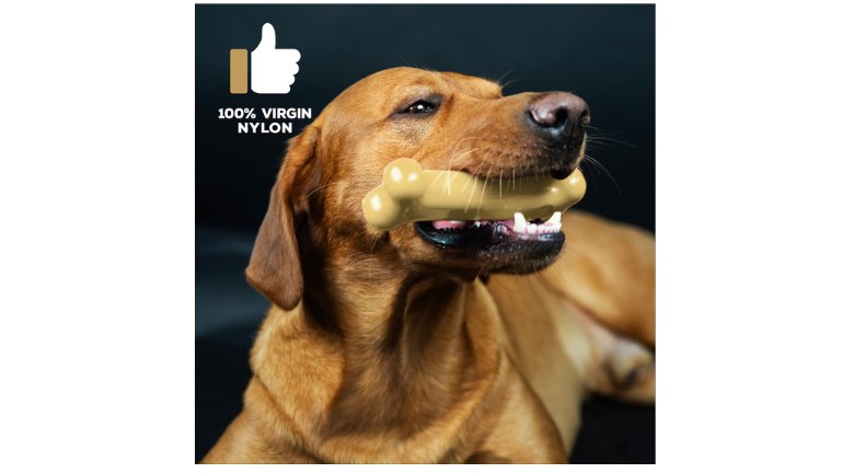 TastyBone Cheese For Small Dogs - image 2