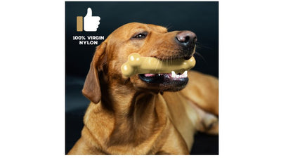 TastyBone Cheese For Small Dogs - image 2