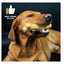 TastyBone Cheese For Large Dogs