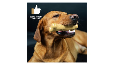 TastyBone Cheese For Large Dogs