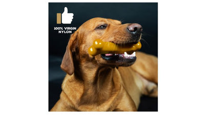 TastyBone Peanut Butter For Large Dogs