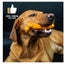 TastyBone Roast Chicken & Thyme For Toy Dogs