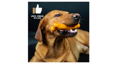 TastyBone Roast Chicken & Thyme For Toy Dogs