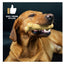 TastyBone Cheddar Cheese For Toy Dogs - image 2