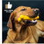 TastyBone Chicken For Toy Dogs