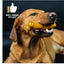 TastyBone Peanut Butter For Toy Dogs - image 2