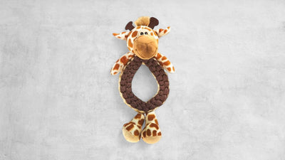 Flairpet Push & Pull Collection Giraffe 35cm