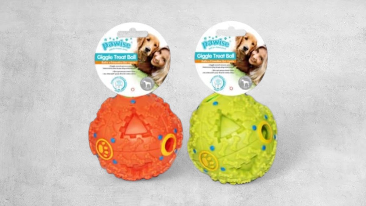 Pawise Giggle Treat Ball Medium