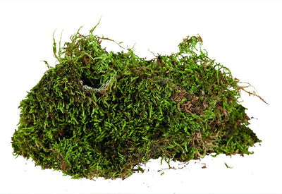 Trixie Terrarium Moss, substrate for humid terrariums, 200 g