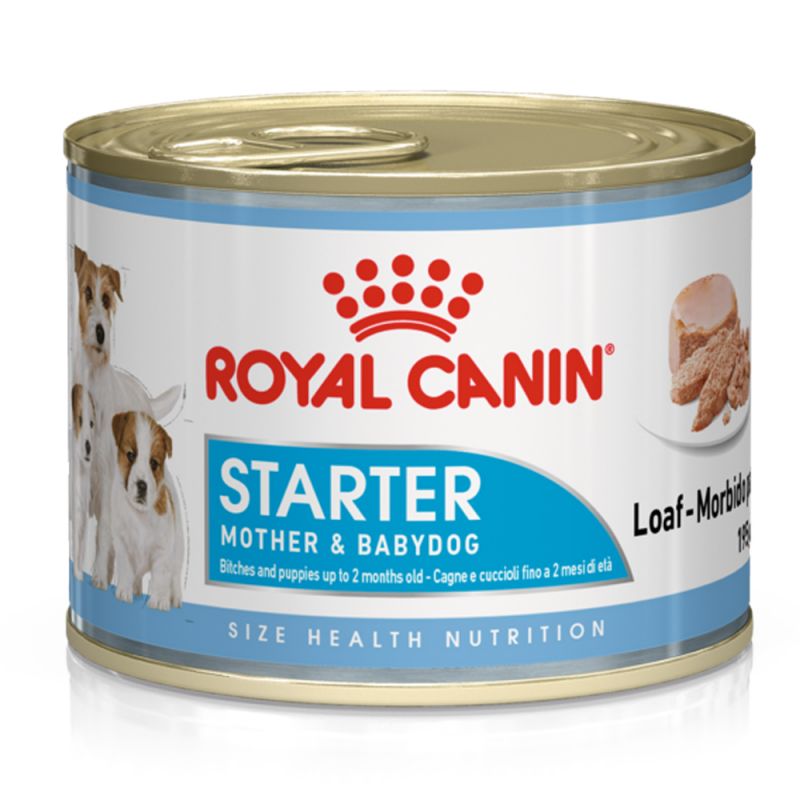 Royal Canin Starter Mousse Mother & Babydog